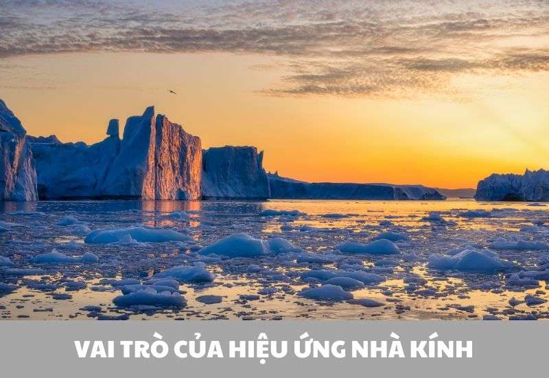 ảnh hưởng của hiệu ứng nhà kính