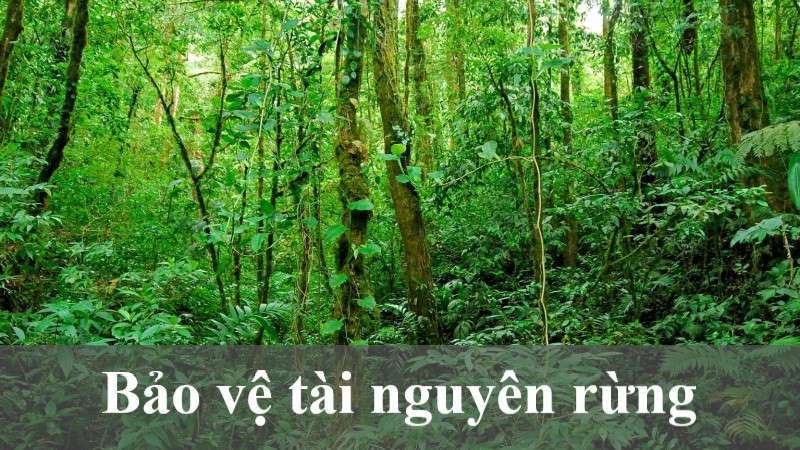 biến đổi khí hậu đồng bằng sông cửu long