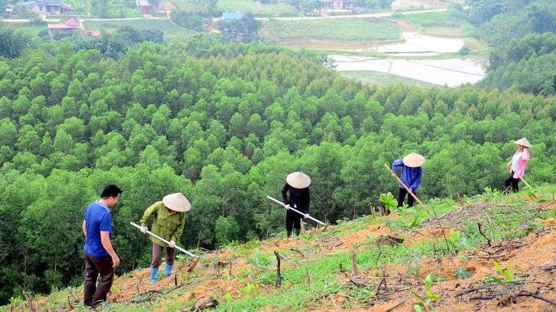 biện pháp bảo vệ rừng