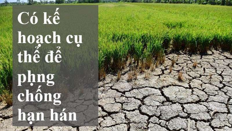 biện pháp khắc phục biến đổi khí hậu đồng bằng sông cửu long