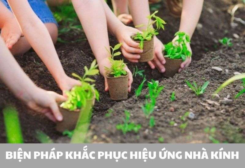 biện pháp khắc phục hiệu ứng nhà kính