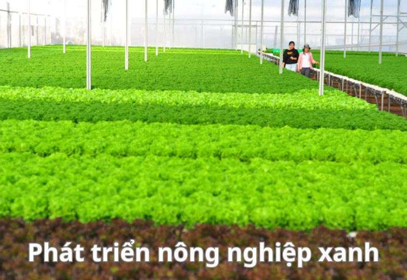 biện pháp khắc phục ô nhiễm môi trường nước