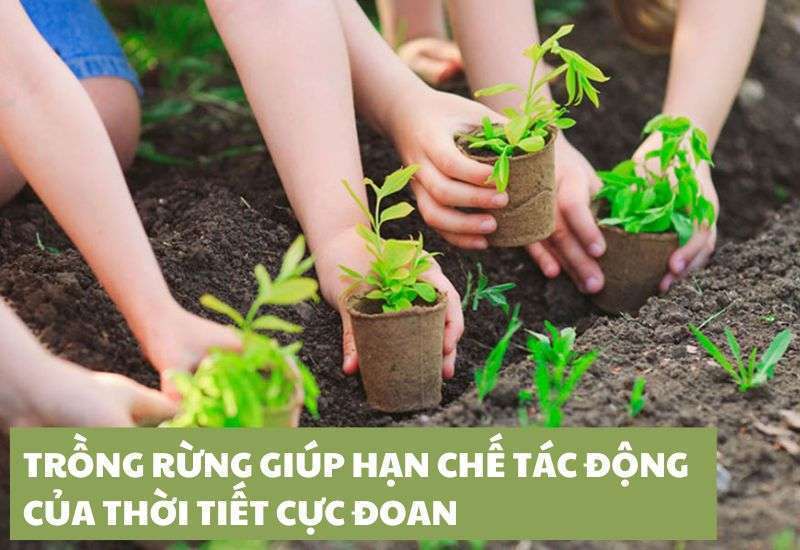 biện pháp khắc phục thời tiết cực đoan