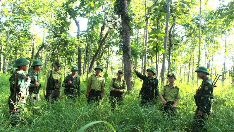 biện pháp ngăn cháy rừng