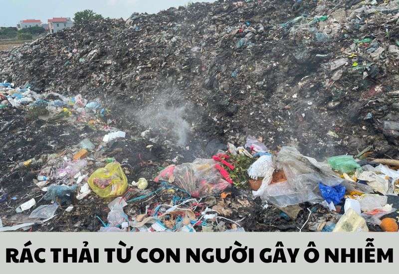 các nguyên nhân gây ô nhiễm môi trường
