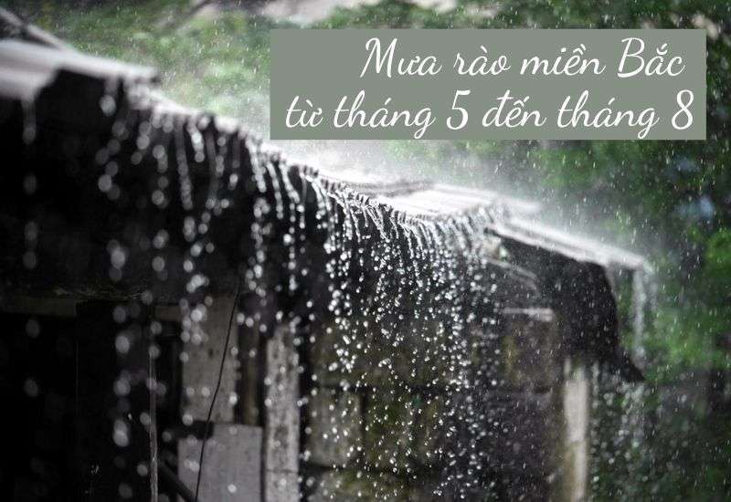 cơn mưa rào