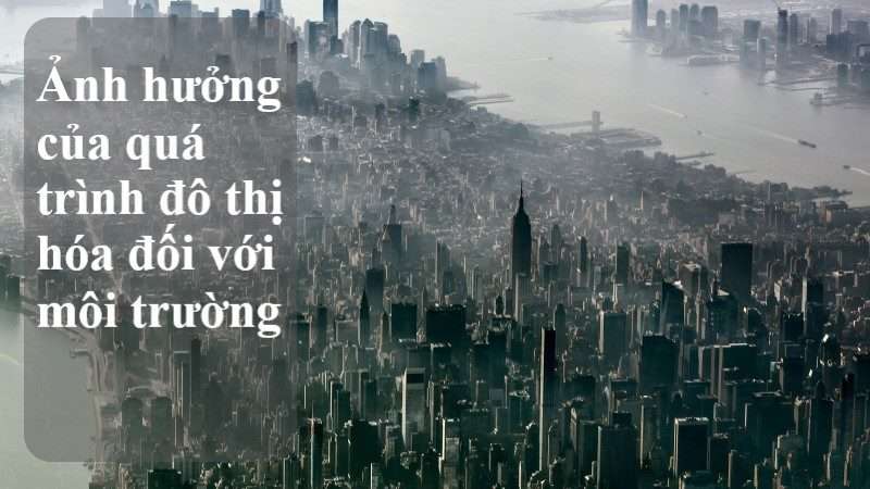 đặc điểm đô thị hóa