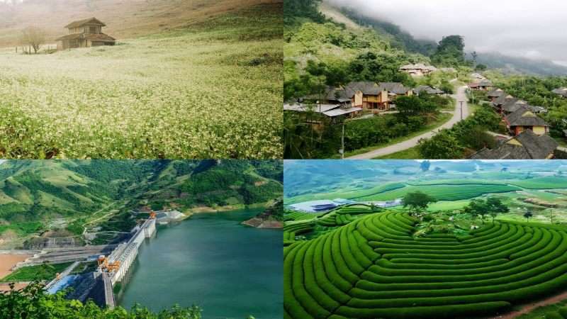 Đặc trưng khí hậu Sơn La với nền nhiệt thấp, dễ chịu quanh năm