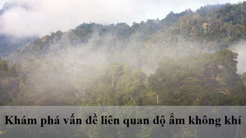 độ ẩm cao thì sao