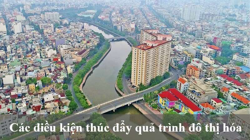 đô thị hóa tự phát