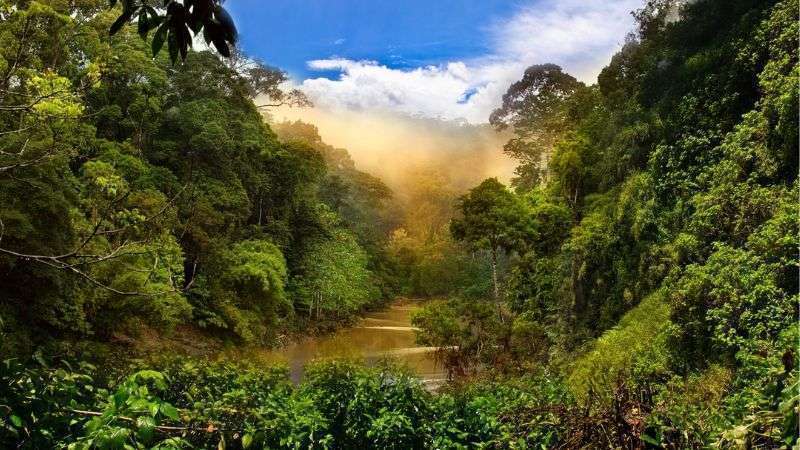 gần xích đạo nóng hay lạnh
