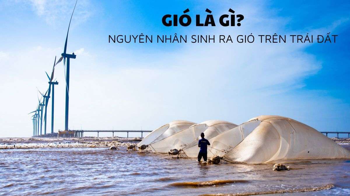 Gió là gì? Phân loại gió theo tính chất & cấp độ (gồm 5 loại chính)