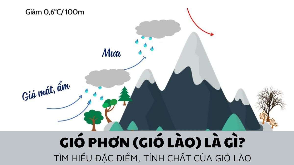 Gió phơn là gì? Tìm hiểu về đặc điểm gió phơn Tây Nam (gió Lào) ở nước ta