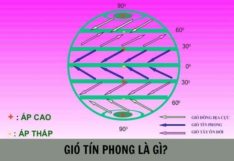 gió tín phong là gió gì