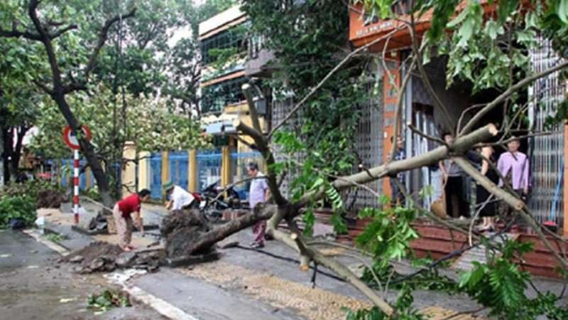 hậu quả của bão ở nước ta