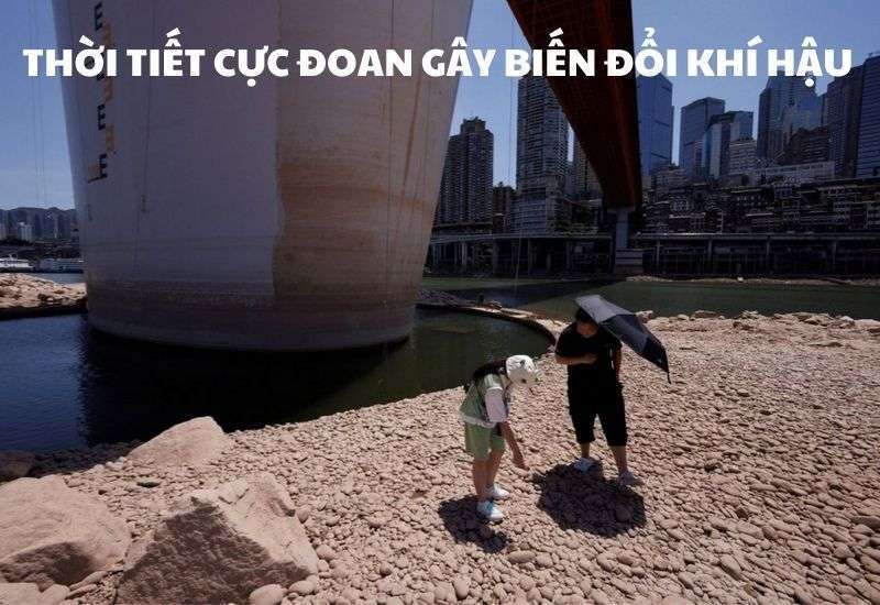hậu quả của thời tiết cực đoan