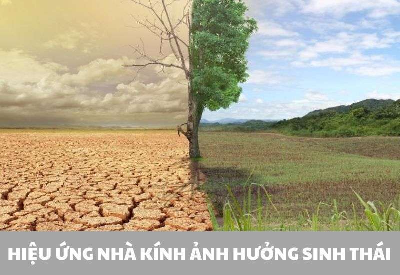 hiện tượng hiệu ứng nhà kính