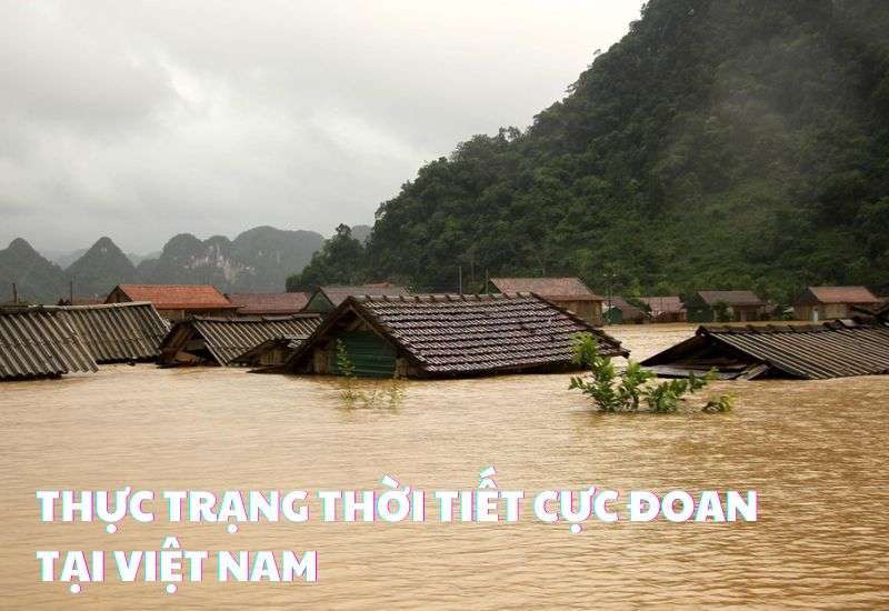 hiện tượng thời tiết cực đoan ở việt nam