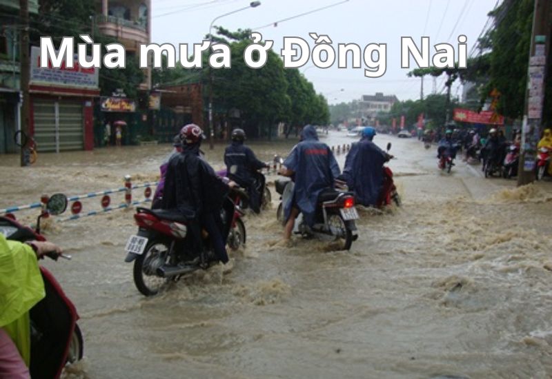 khí hậu đồng nai mùa mưa