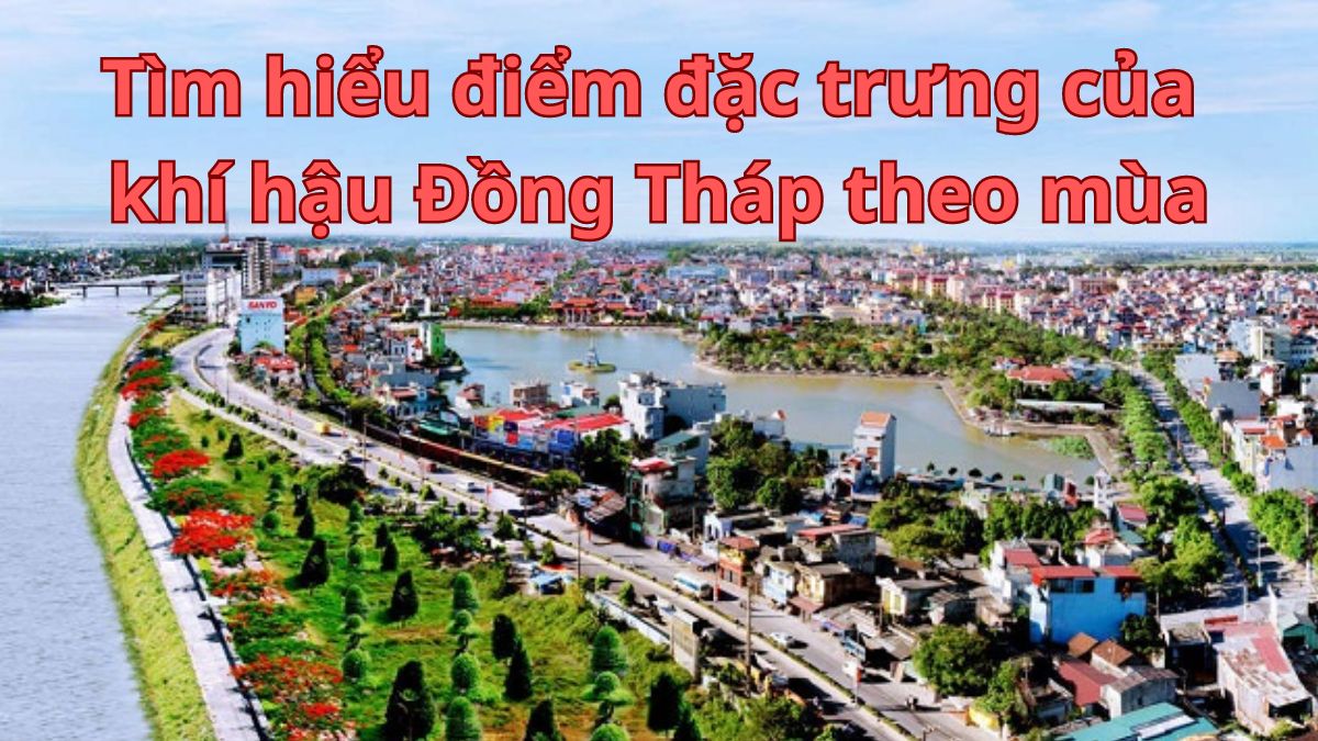 Tổng quan về đặc điểm khí hậu Đồng Tháp 12 tháng trong năm