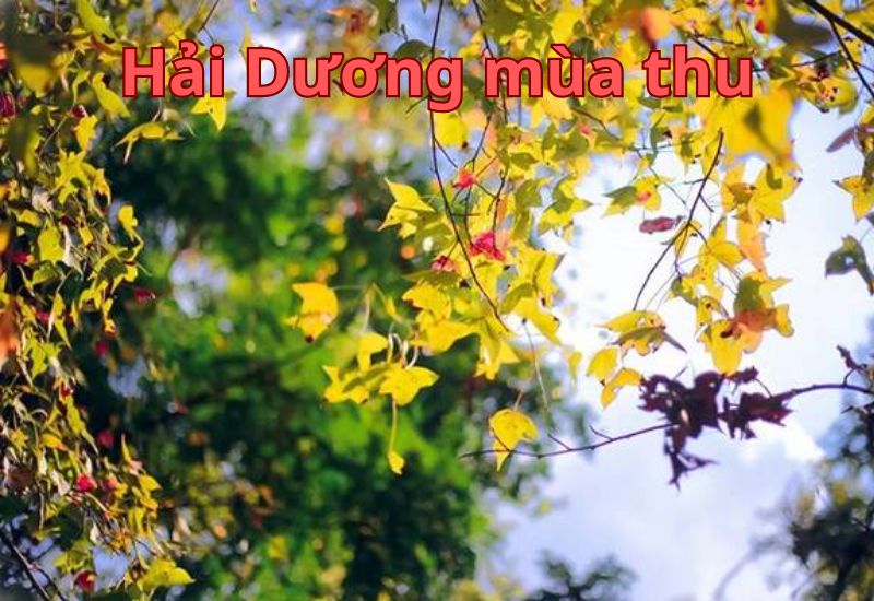 khí hậu hải dương mùa thu