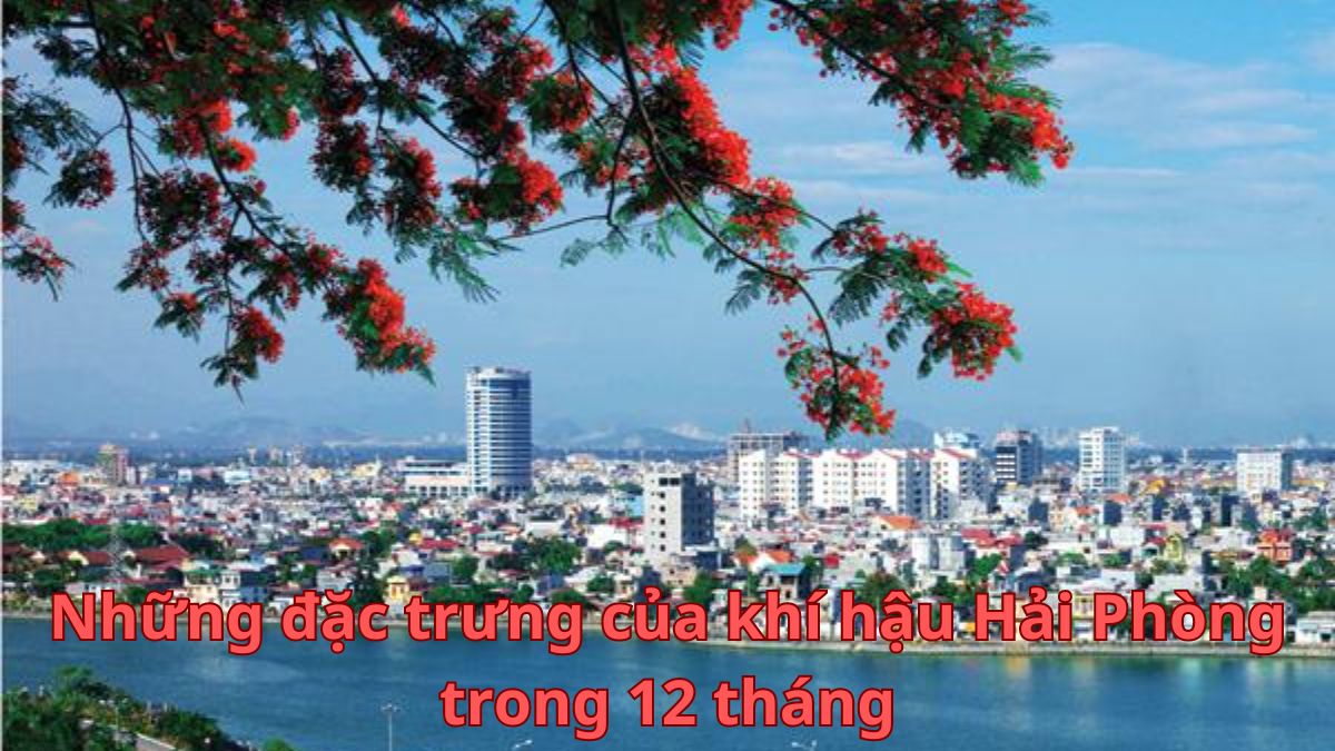 Khí hậu Hải Phòng: Đặc trưng trong 12 tháng và 4 mùa Xuân Hạ Thu Đông