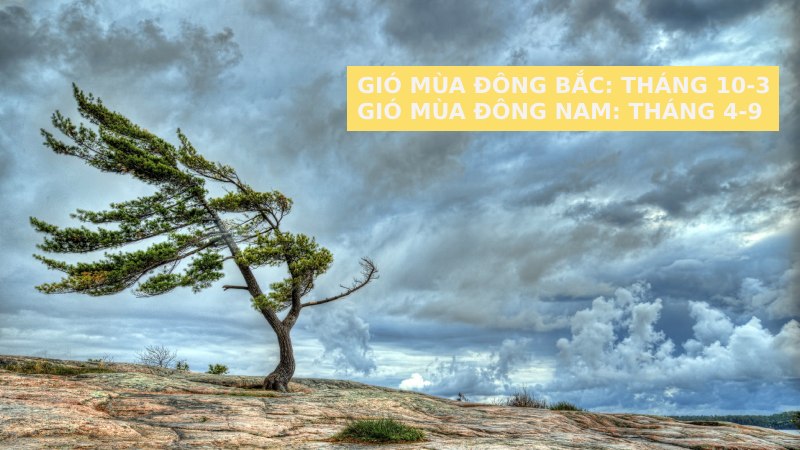 Khí hậu Bắc Ninh, vùng đất quan họ có đặc điểm gì? Có lạnh không?