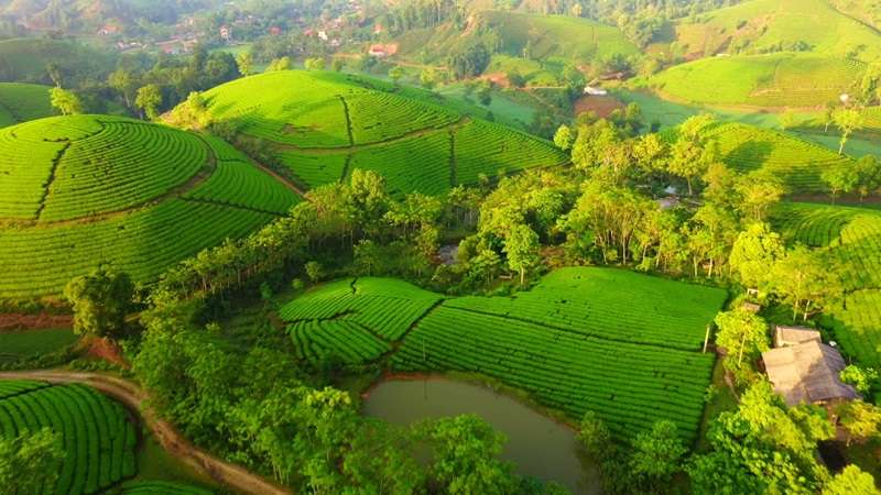 khí hậu phú thọ