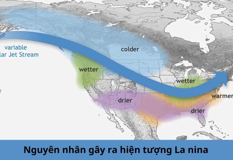la nina là gì