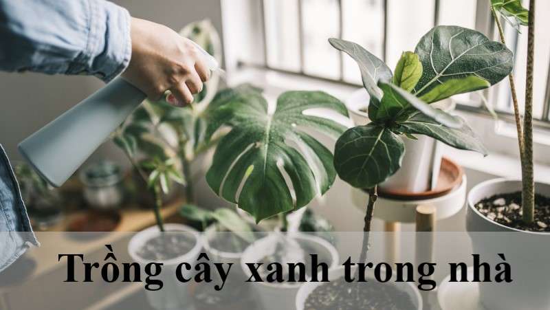 làm gì khi da bị nóng