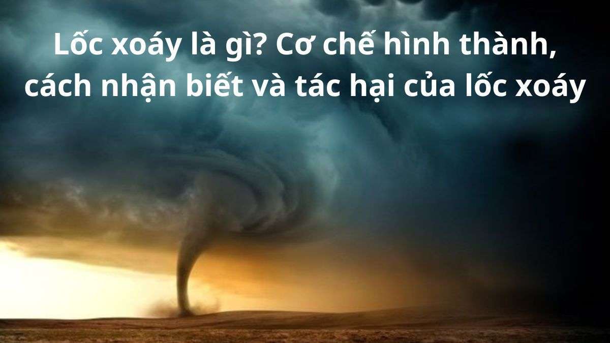 Lốc xoáy là gì? Giải thích nguyên nhân & dấu hiệu hiệu nhận biết sắp xuất hiện vòi rồng
