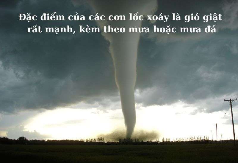 lốc xoáy vòi rồng