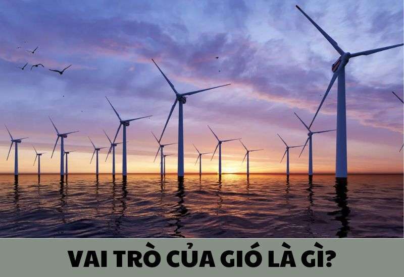 lợi ích của gió
