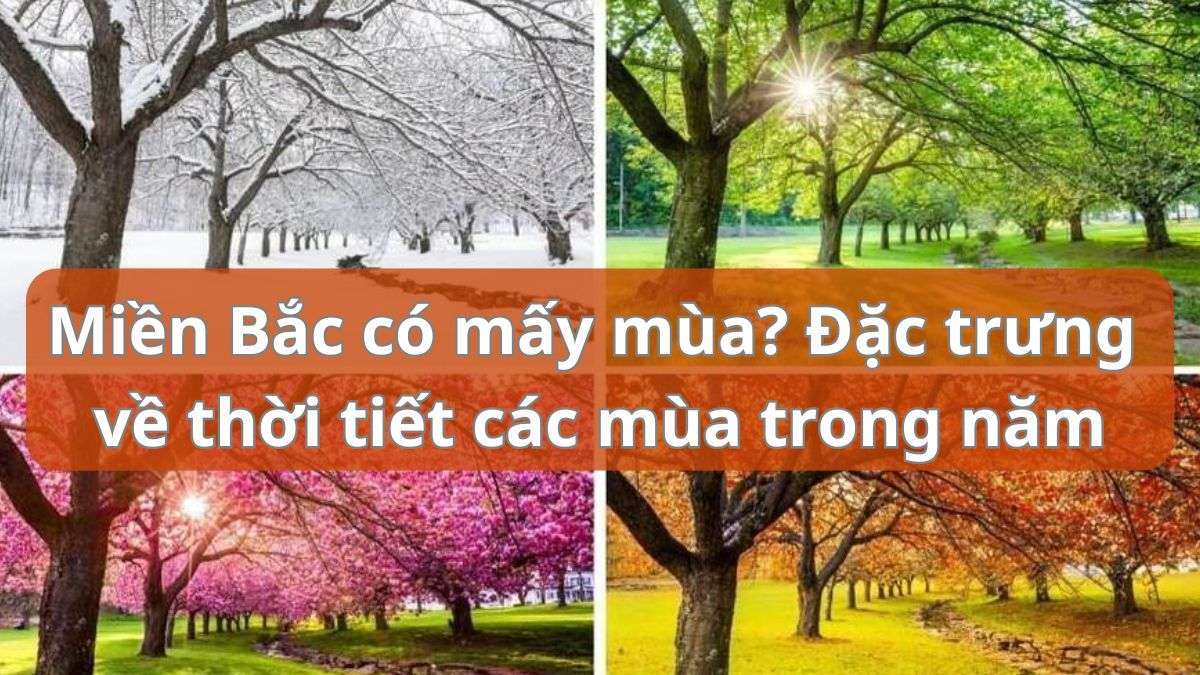 Miền Bắc có mấy mùa? Tìm hiểu về mùa xuân, hạ, thu, đông tại miền Bắc