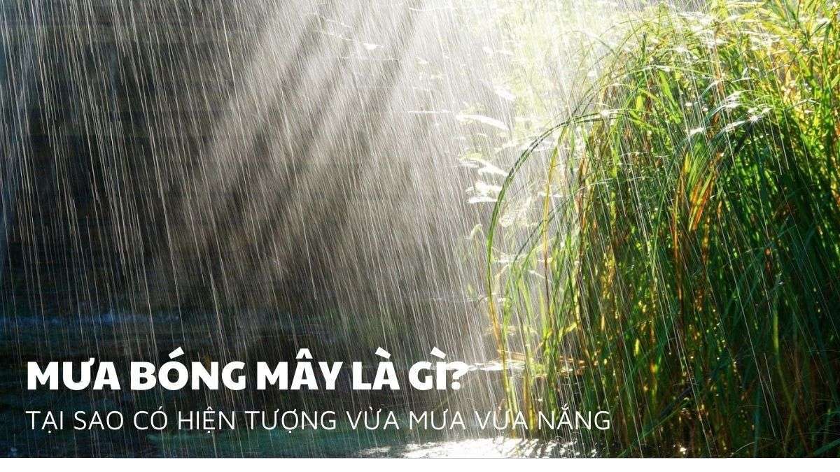 Mưa bóng mây là gì? Tìm hiểu nguyên nhân vừa mưa vừa nắng (theo khoa học và truyền thuyết)