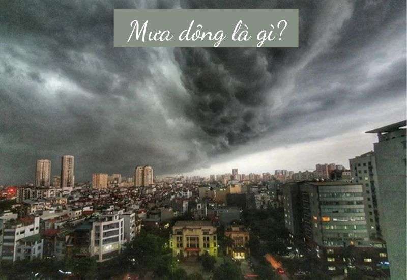 mưa dông là gì