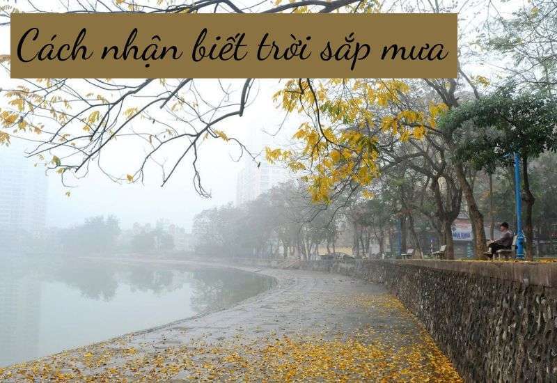 mưa dông