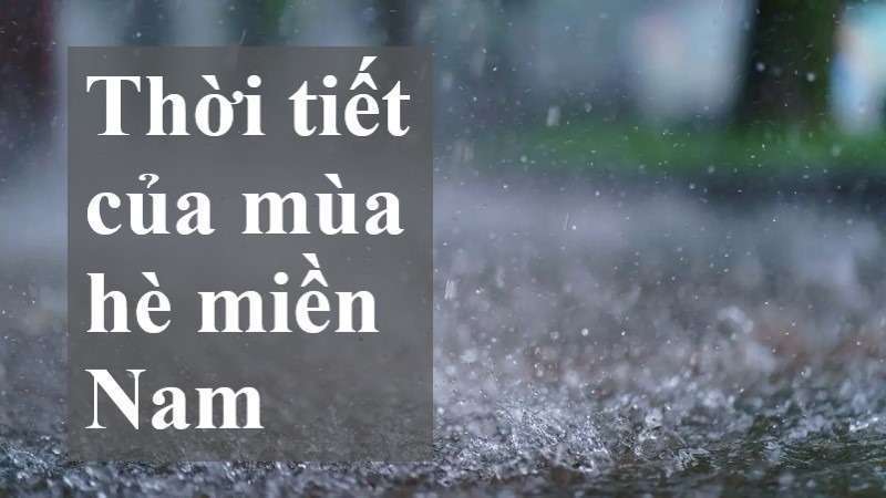 mùa hè từ tháng mấy đến tháng mấy
