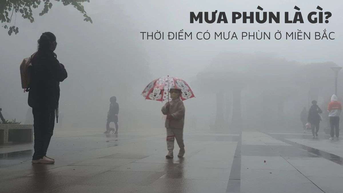Mưa phùn là gì? Vào tháng mấy? #6 Tác hại của mưa phùn đối với đời sống & sinh hoạt