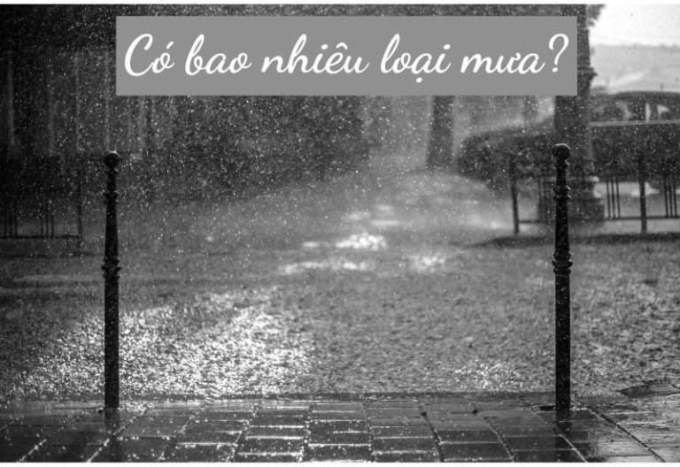 Mưa là gì? Liệt kê #7 loại mưa thường gặp trong tự nhiên