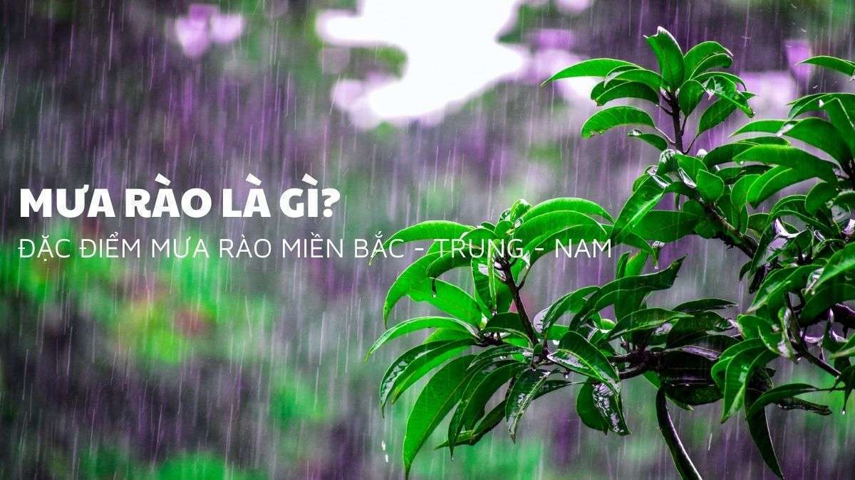 Cơn mưa rào là gì? Khám phá thời gian xuất hiện mưa rào tại miền Bắc – Trung – Nam