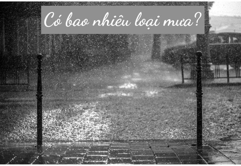 mưa rào