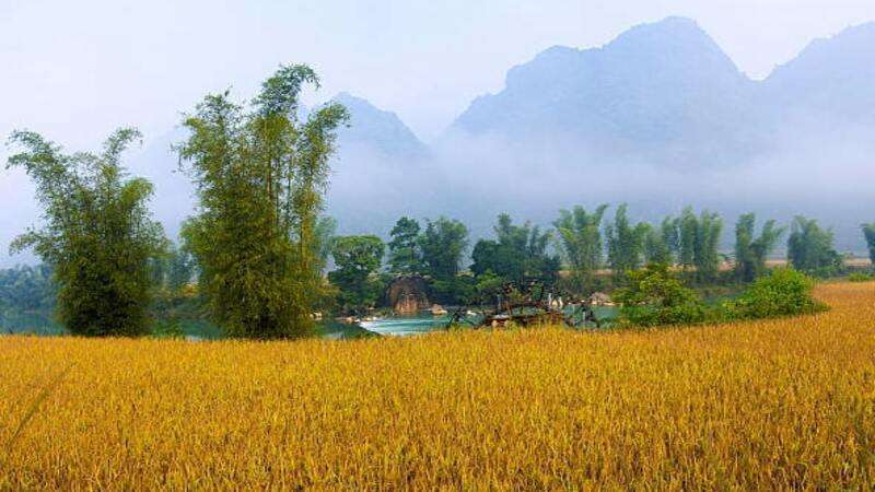 Hình ảnh thời tiết mùa thu