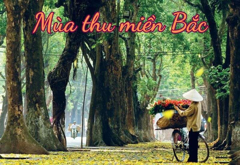 mùa thu miền bắc