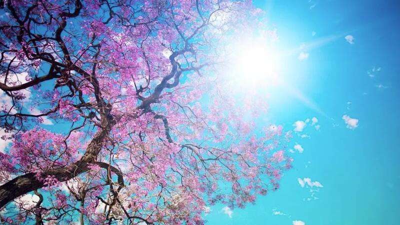 Hình ảnh thời tiết mùa xuân