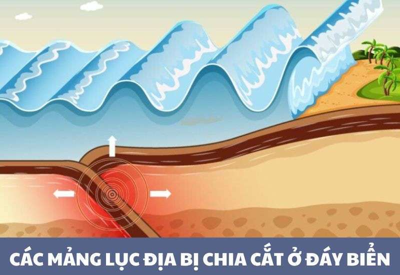 nguyên nhân chính gây nên sóng thần là gì