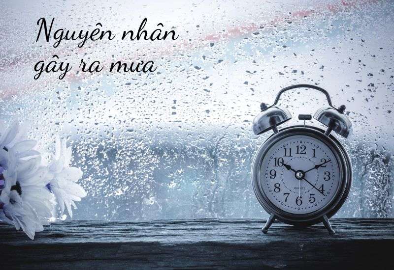 nguyên nhân có mưa
