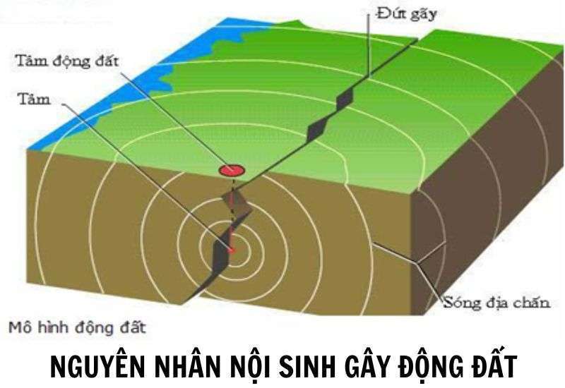 nguyên nhân gây ra động đất