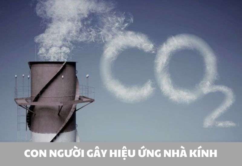 nguyên nhân gây hiệu ứng nhà kính