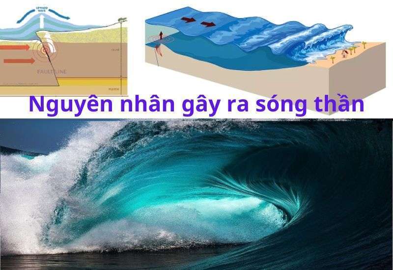 Nguyên nhân gây ra sóng thần ở nhật bản